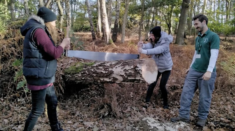 A team building task of sawing wood
