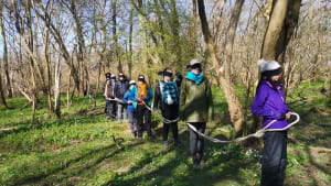 Forest School Level 3 Leader Training - May 2023 Norfolk